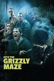 Labirinto dei Grizzly