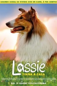 Lassie torna a casa